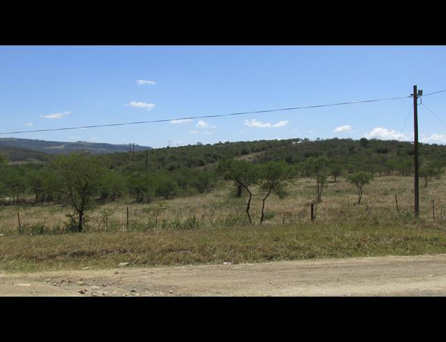 8HA FARM FOR SALE IN KOMGA